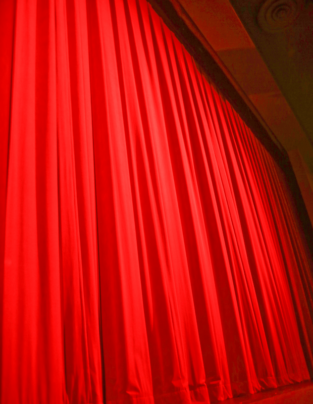 Pipe and Drape Systems Cameo Curtains